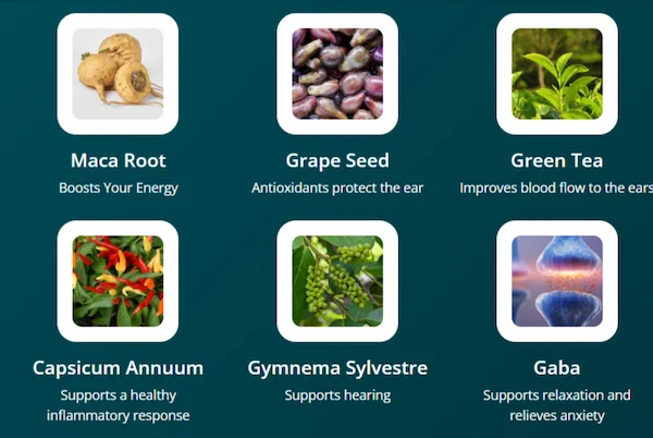 Audifort Ingredients