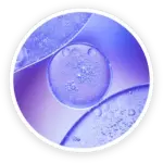 NanoDefense Pro Deoxyribonuclease