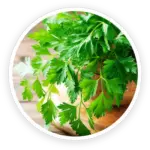 NanoDefense Pro Luteolin